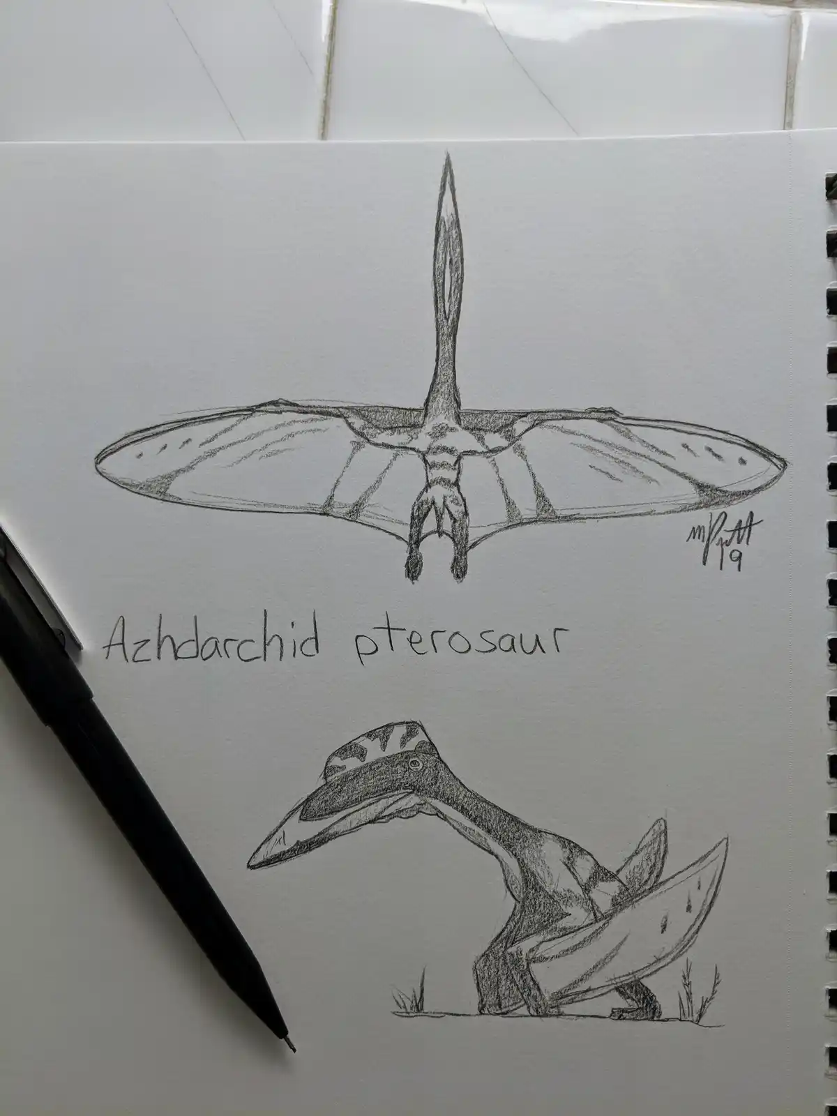 A pencil sketch in a spiral-bound notebook shows two views of an azhdarchid pterosaur: a top-down view of its wingspan and a…
