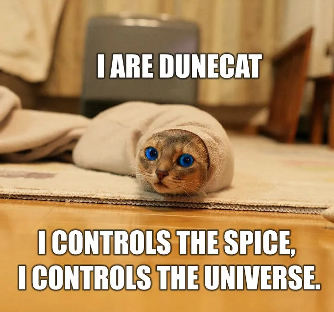 A cat wrapped in a beige towel lies on a wooden floor, looking directly at the camera with bright blue eyes. White bold text…