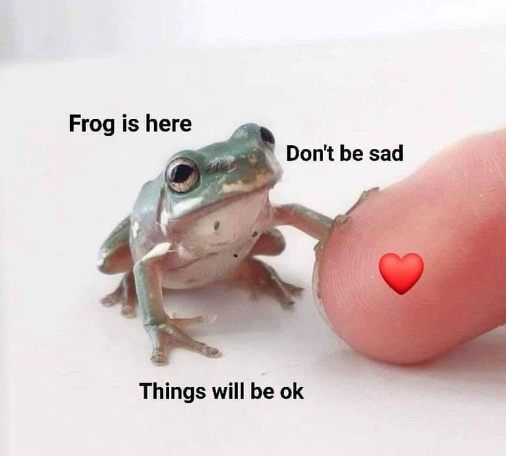 A small green frog sits on a plain white surface, gently touching a human fingertip with one of its front legs. A red heart…