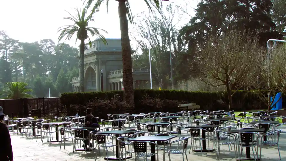 An outdoor cafe area with many empty tables and chairs under palm trees, with one solitary person sitting at a table. In the…