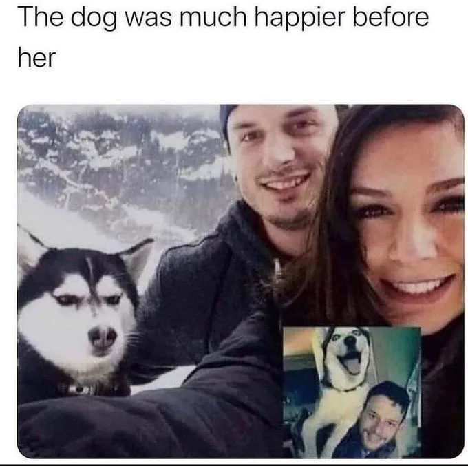 A selfie shows a man and woman smiling in front of snowy mountains with a husky dog looking grumpy and unimpressed. In the…