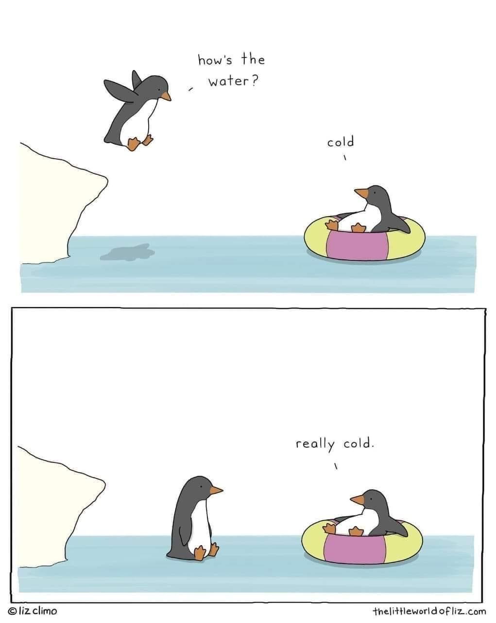 Two-panel comic featuring cartoon penguins. In the top panel, one penguin asks another in a floatie, "how's the water?" and…