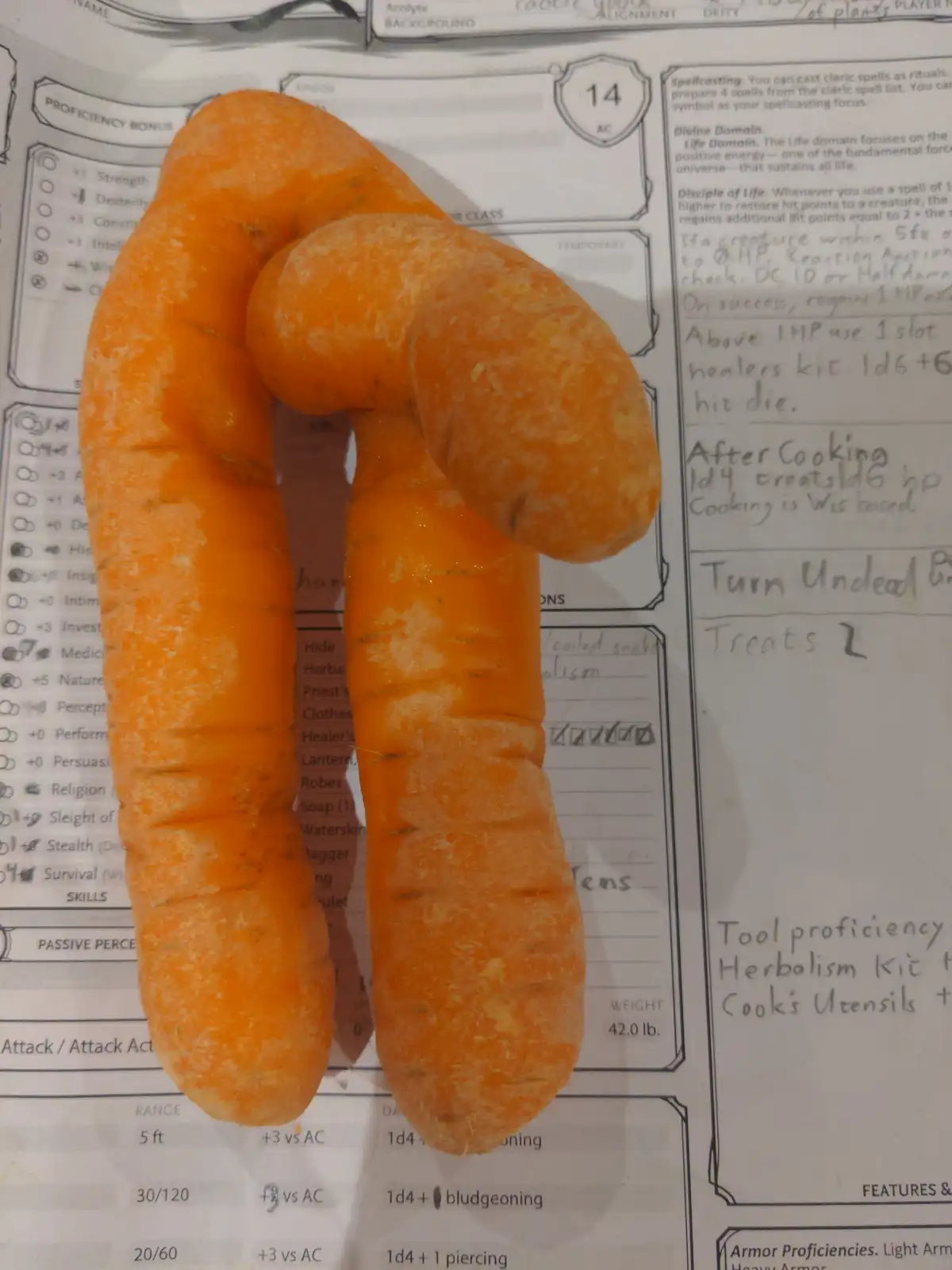 A single orange carrot with a natural, curved bend is placed on top of a Dungeons & Dragons character sheet. The sheet has…