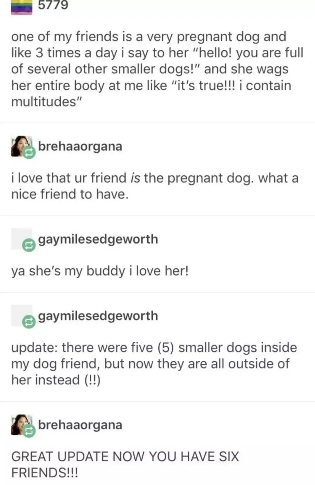 The image shows a screenshot of a social media thread where a user describes their friend, a pregnant dog, who joyfully…