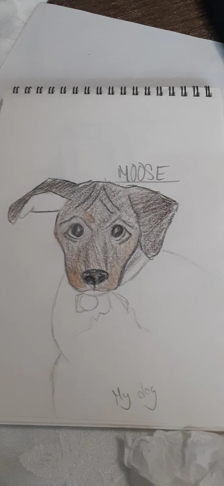 A hand-drawn colored pencil sketch of a dog's head and shoulders on a spiral-bound notebook page. The dog has floppy ears…