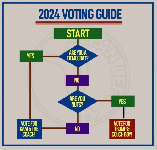 A flowchart titled '2024 VOTING GUIDE' starts with 'START' and asks 'ARE YOU A DEMOCRAT?' If 'YES', it directs to 'VOTE FOR…