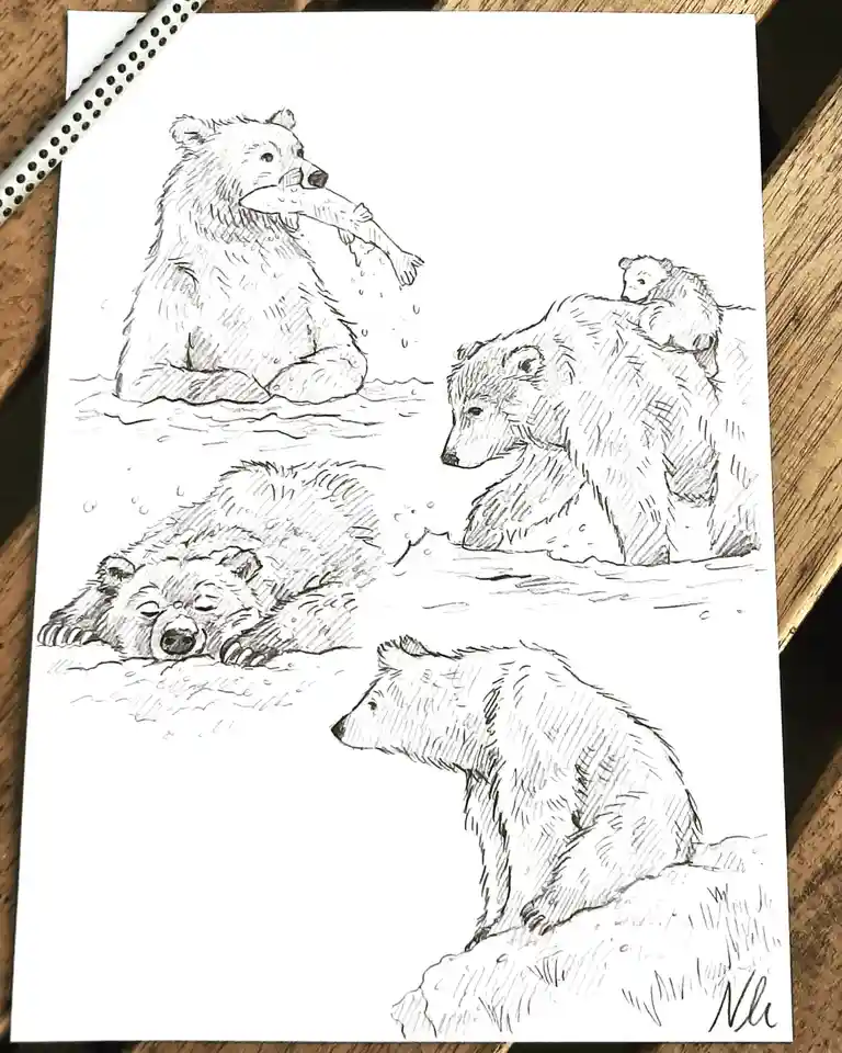 A black-and-white pencil sketch on paper shows four separate bear illustrations: one holding a fish in its mouth, one with a…