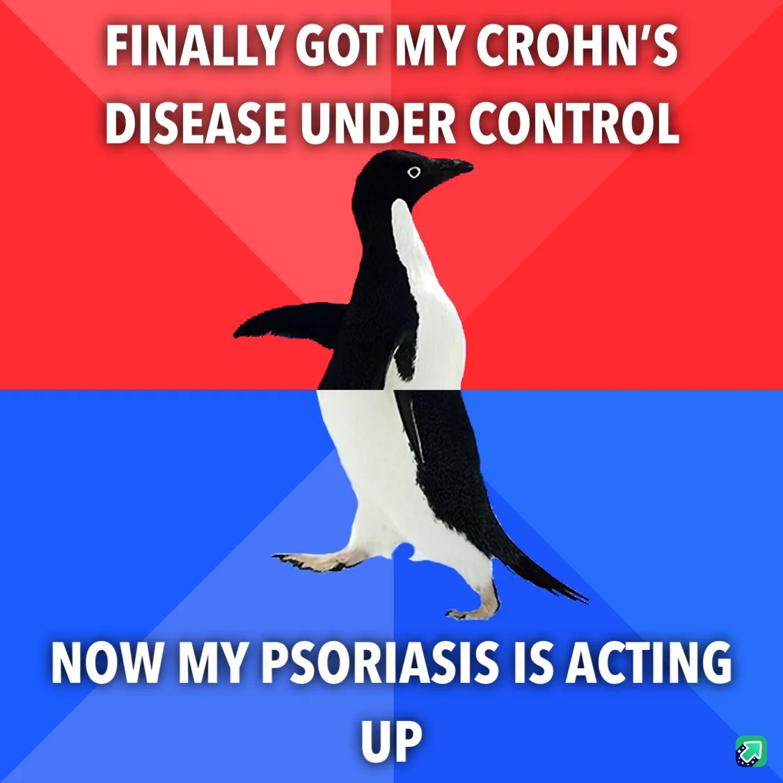 A penguin stands centered against a red and blue background, split horizontally. White bold text at the top reads 'FINALLY…