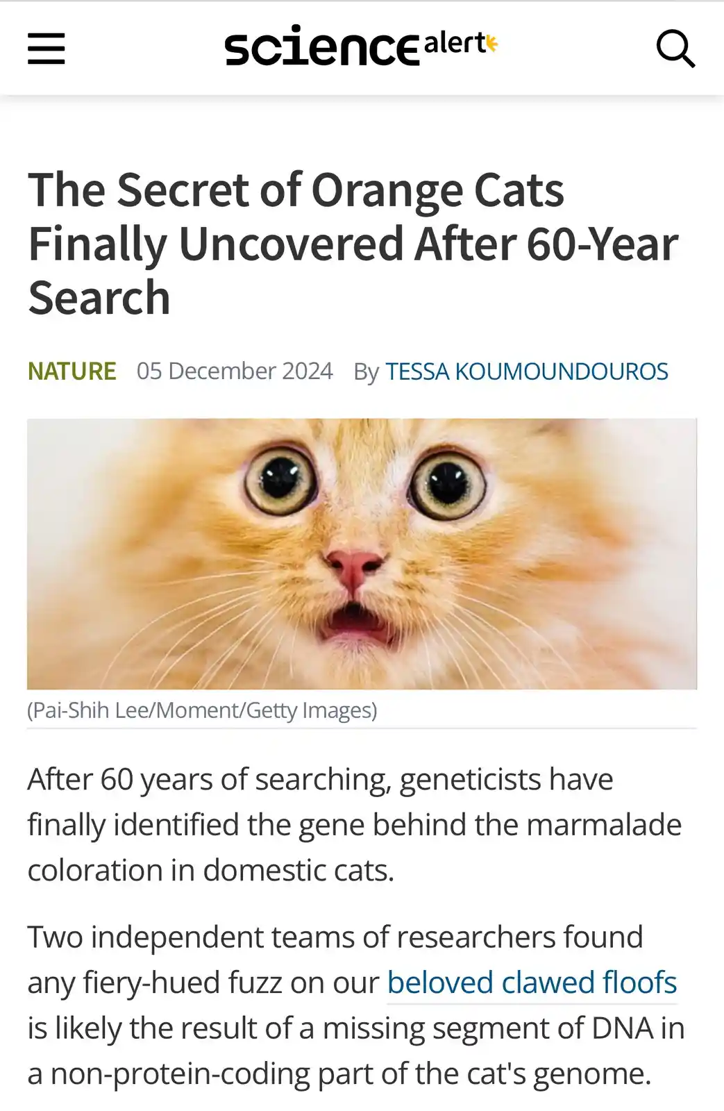They finally discovered the shared brain cell!