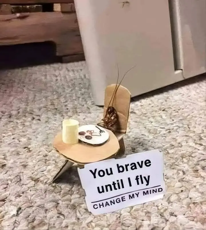 A small cockroach sits in a miniature wooden chair on a carpeted floor, with a tiny plate and candle beside it. A sign in…