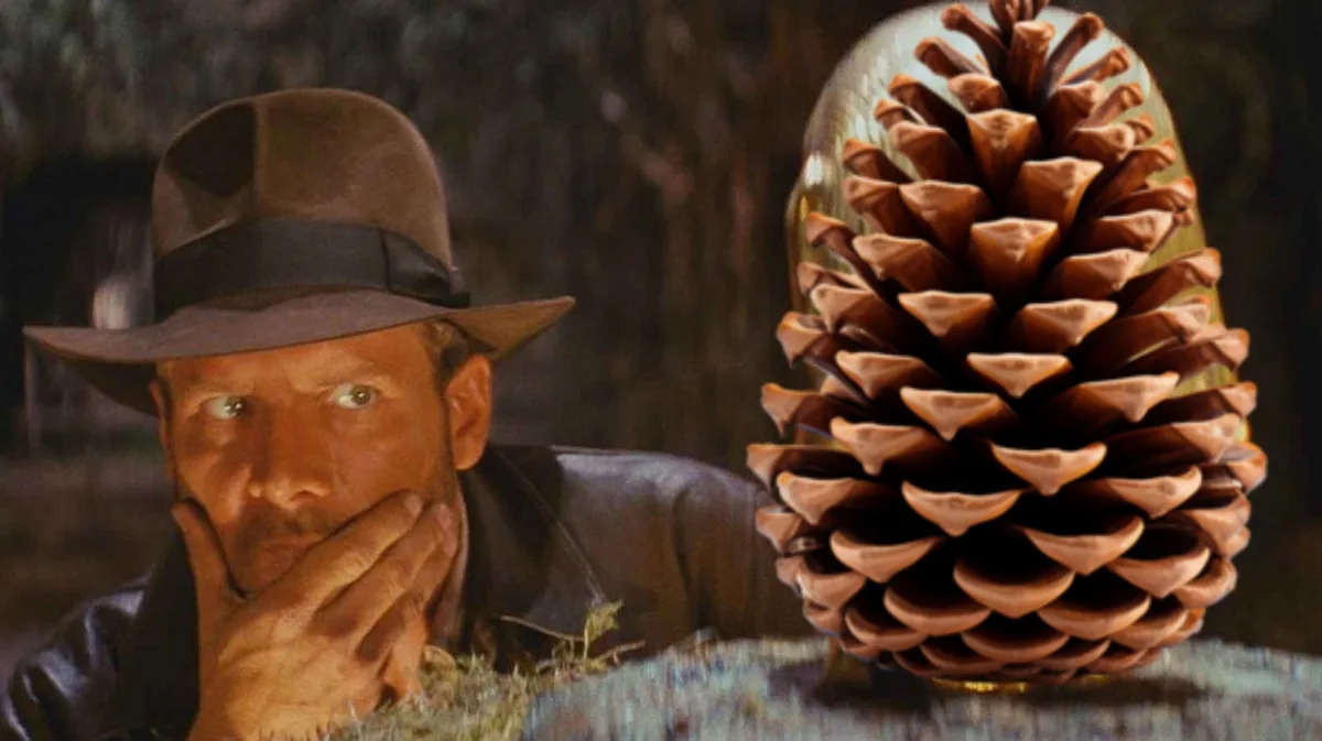 A man in a brown fedora and leather jacket, resembling Indiana Jones, peers over a grassy edge with a shocked expression…