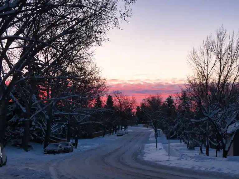 A snowy residential street at dawn or dusk, with bare trees covered in snow lining both sides and cars parked along the…