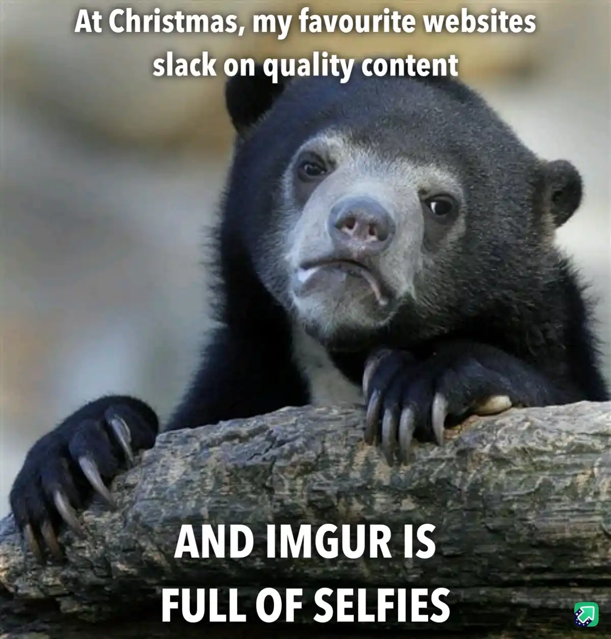 A close-up photo of a sad-looking spectacled bear resting its paws on a log, with white text overlaid at the top reading 'At…