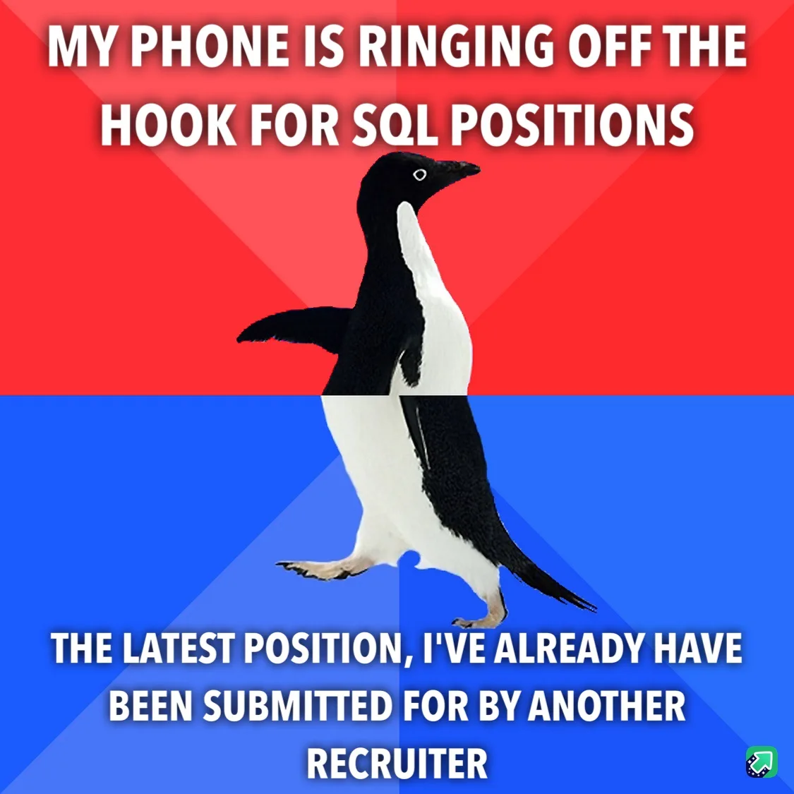 A penguin stands centered against a red and blue background, with white text overlaid. The top text reads 'MY PHONE IS…