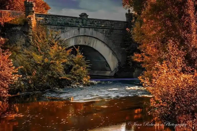 The Bridge: A Connection to New Possibilities