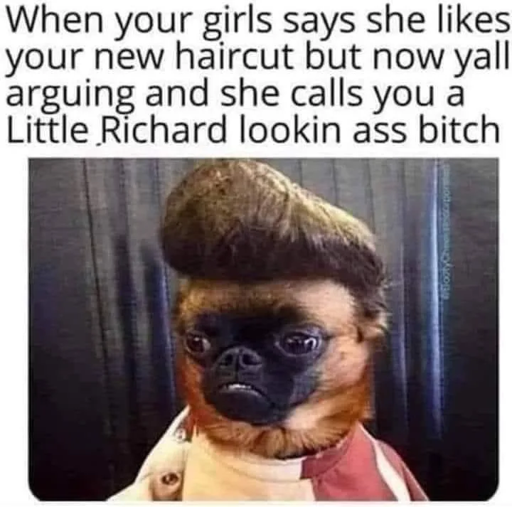 A pug dog wearing a jacket and sporting an exaggerated, tall, pompadour-style haircut is shown with a disgruntled…