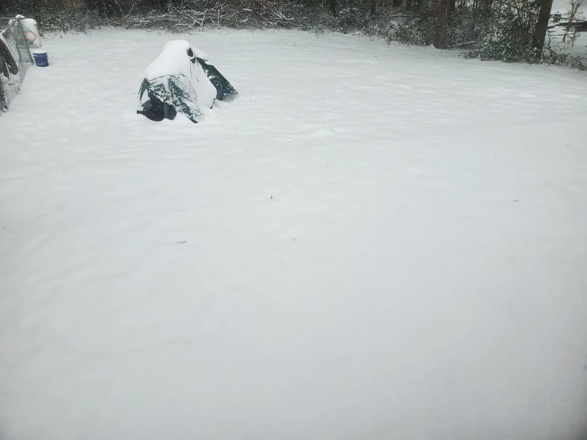 A snow-covered backyard shows a green object, likely a tarp or tent, buried under deep snow, with a chain-link fence and…