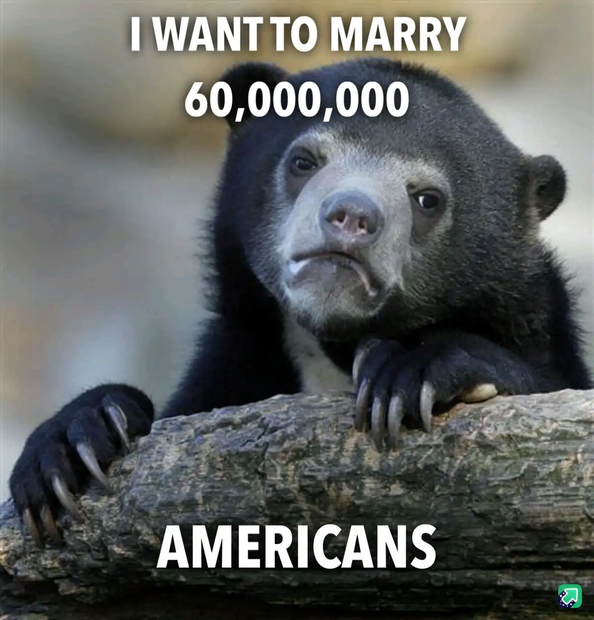 Not Quite Sure About Canada's Polygamy Laws...
