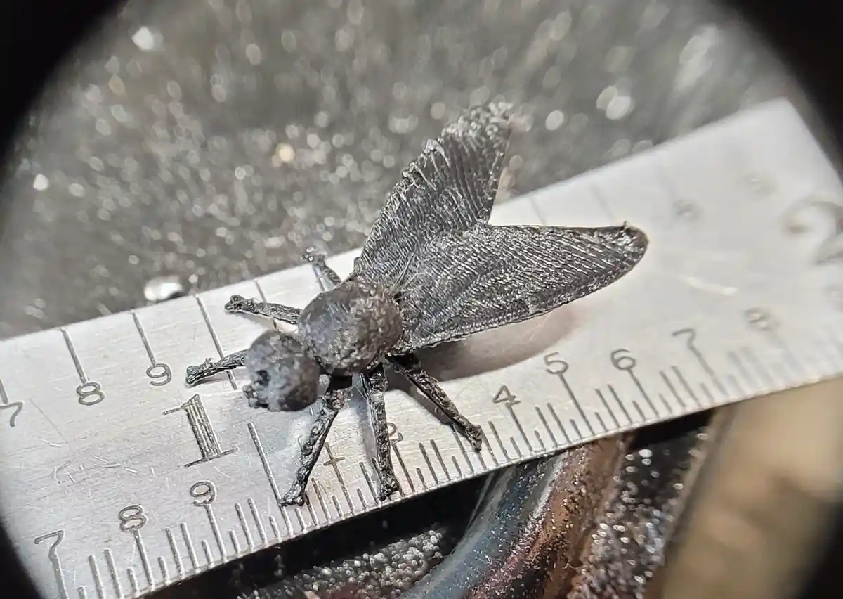 A small, dark gray, metallic-looking fly model with detailed wings and legs is positioned on a metal ruler, showing its…