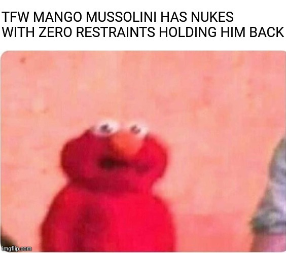 A blurry image of the red Muppet character Elmo with a shocked expression, overlaid with bold white text reading 'TFW MANGO…