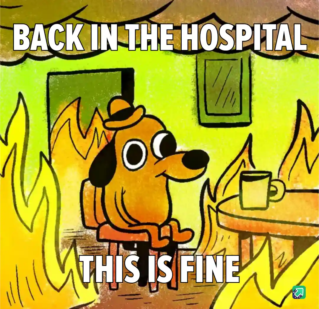 A cartoon dog wearing a hat sits calmly in a room engulfed in flames, with text overlaid at the top reading 'BACK IN THE…