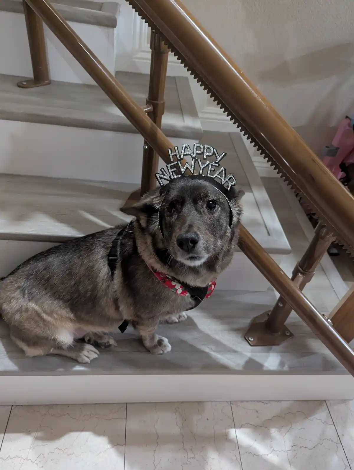 Wishing everyone a joyful New Year!