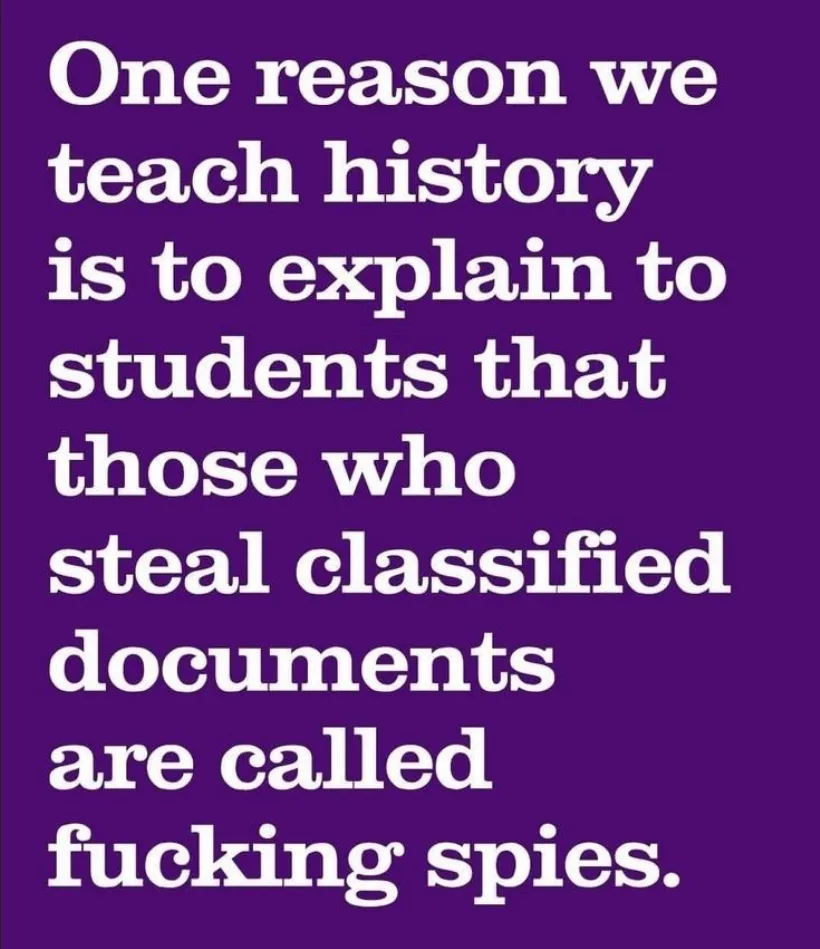 A solid purple background with large, white, sans-serif text that reads: 'One reason we teach history is to explain to…