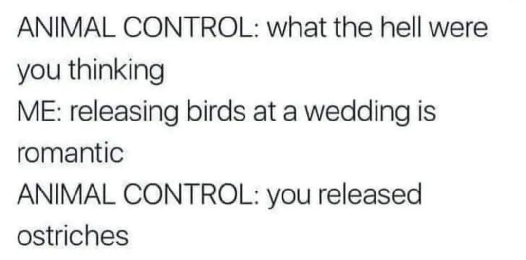 Uh-oh, What Just Happened?