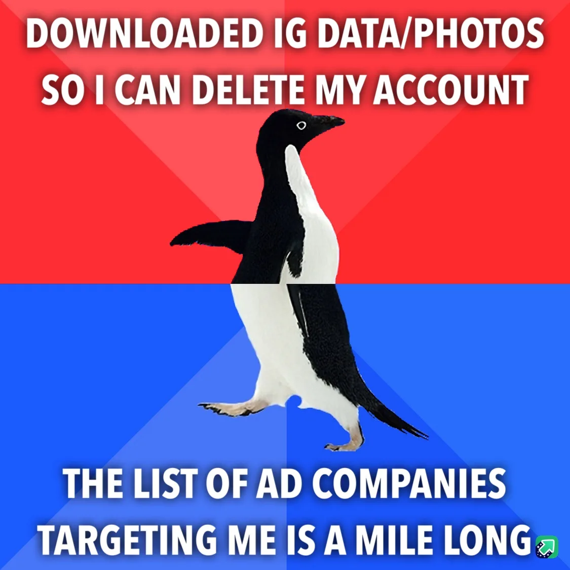 A penguin stands centered against a red and blue background, with white text overlaid. The top text reads 'DOWNLOADED IG…