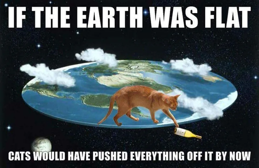 A brown cat walks across a flat, disc-shaped earth floating in space, dragging a wine bottle behind it. The top text reads…