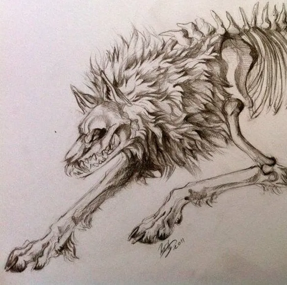 Majestic Wolf: Nature's Untamed Spirit