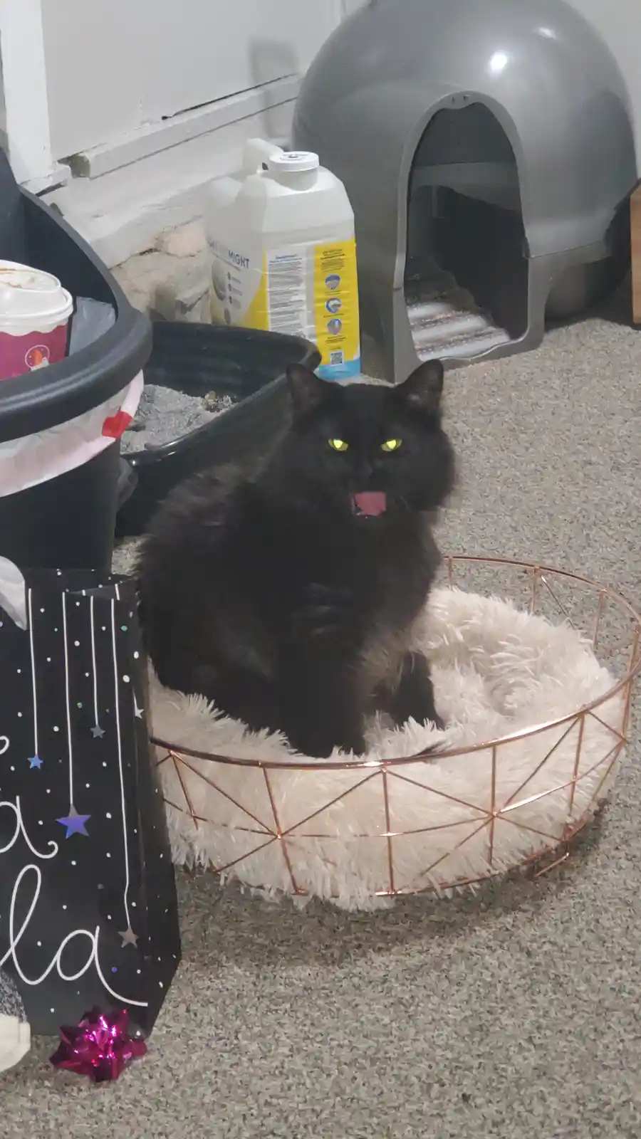 The Void Responds with a Scream