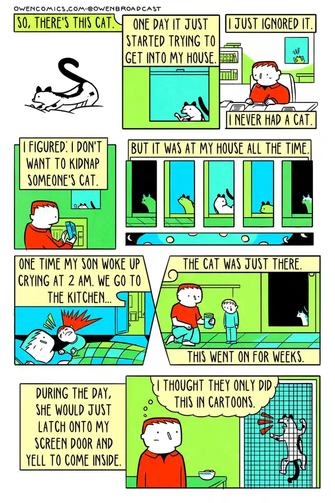 A six-panel comic strip shows a man narrating how a cat mysteriously appears in his house, ignoring it at first, then…