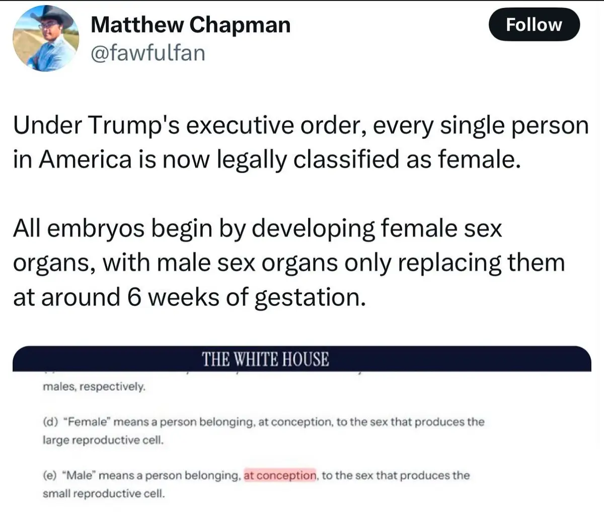 A screenshot of a tweet by Matthew Chapman (@fawfulfan) that claims Trump's executive order legally classifies everyone as…