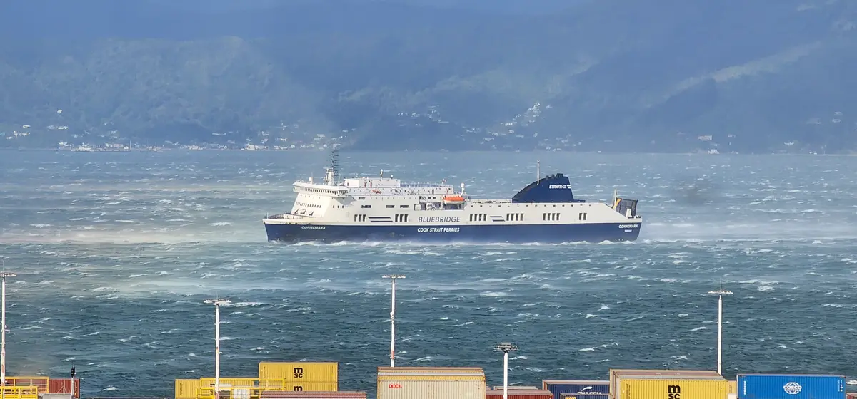 A large blue and white ferry named 'Connemara' from Bluebridge Cook Strait Ferries sails through choppy, wind-whipped waters…
