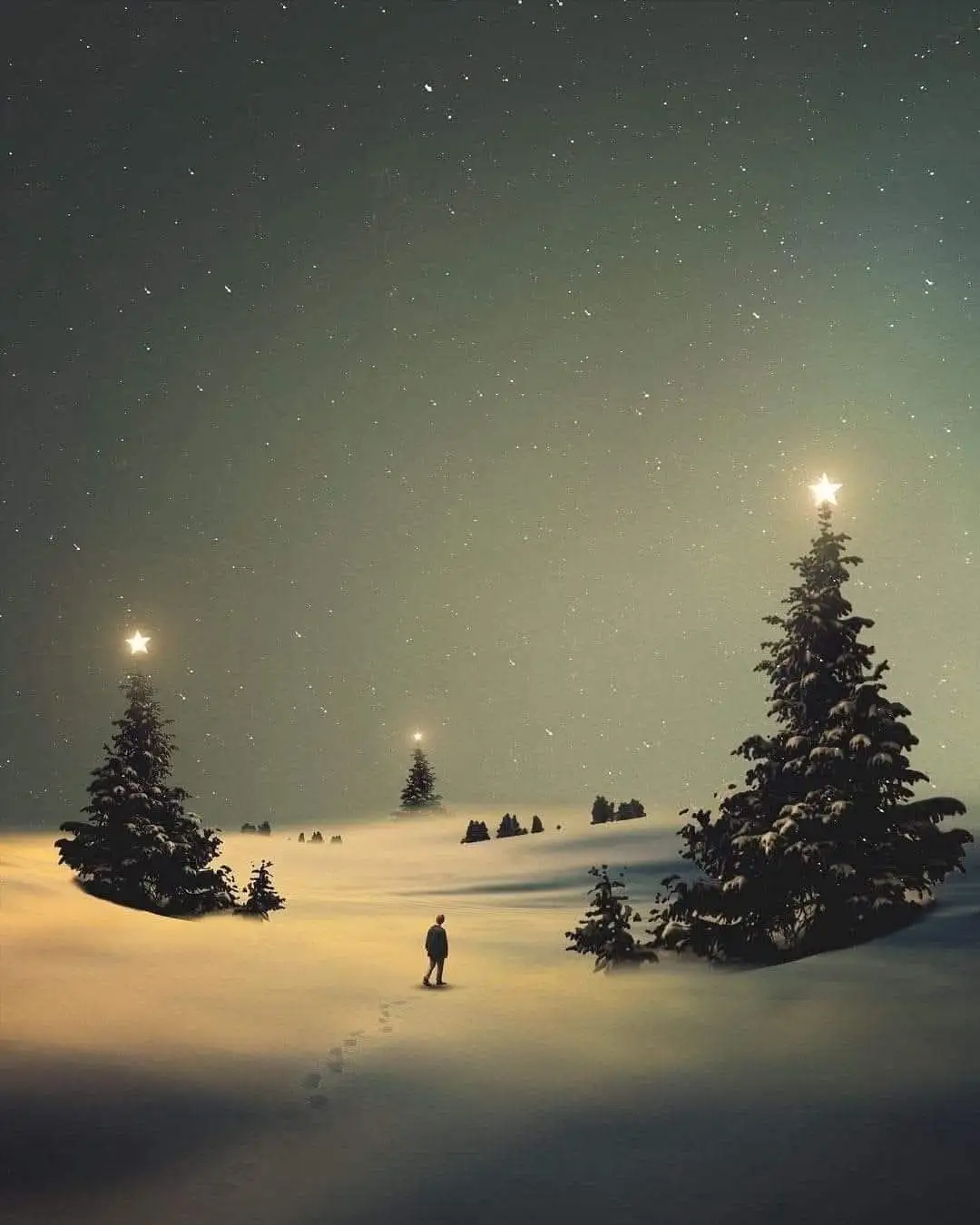 A Final Glimpse Before the Holidays