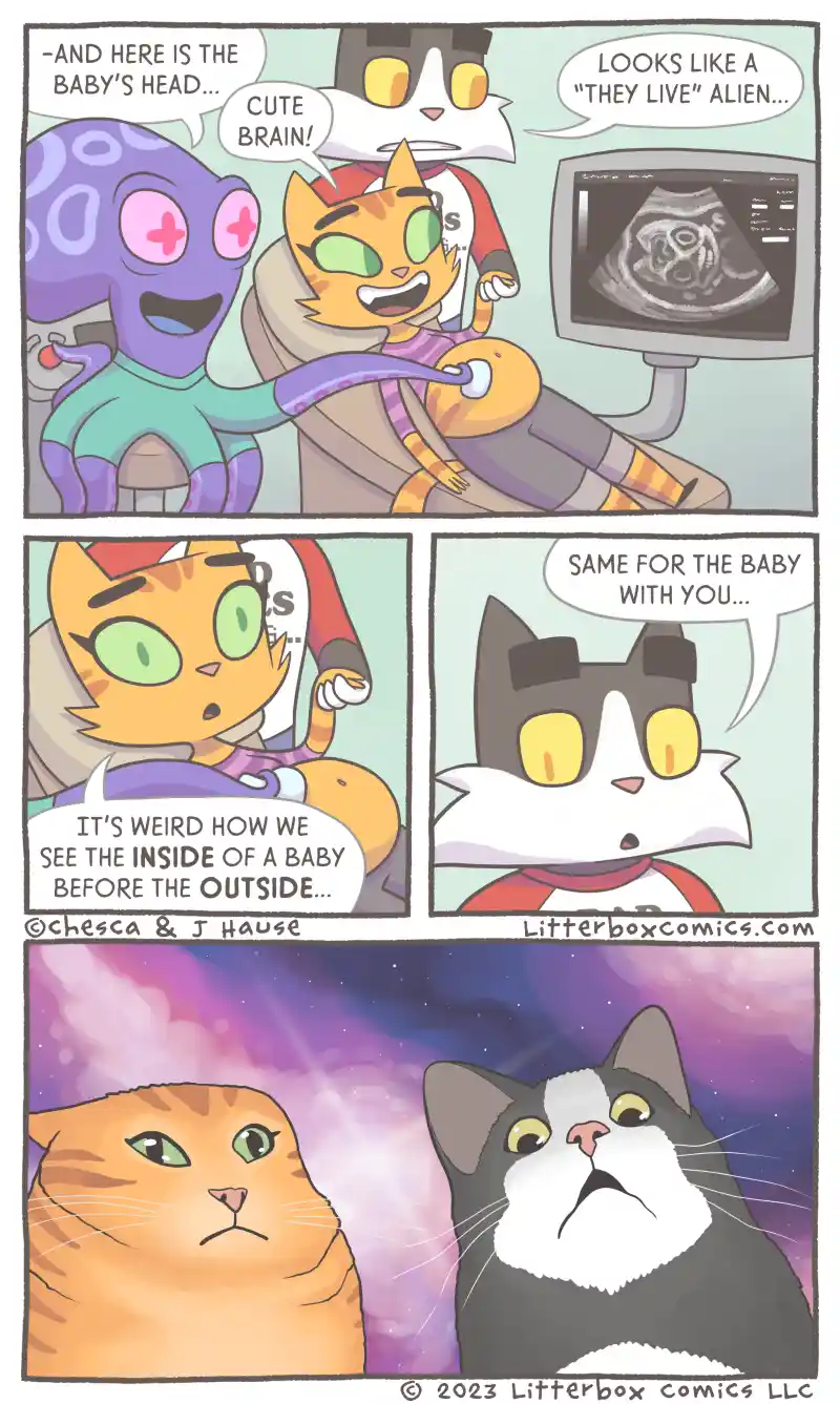 Inside Look at [OC]