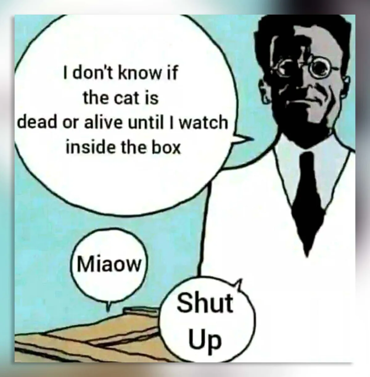 A cartoon depicts a man in a lab coat and glasses stating, 'I don't know if the cat is dead or alive until I watch inside…