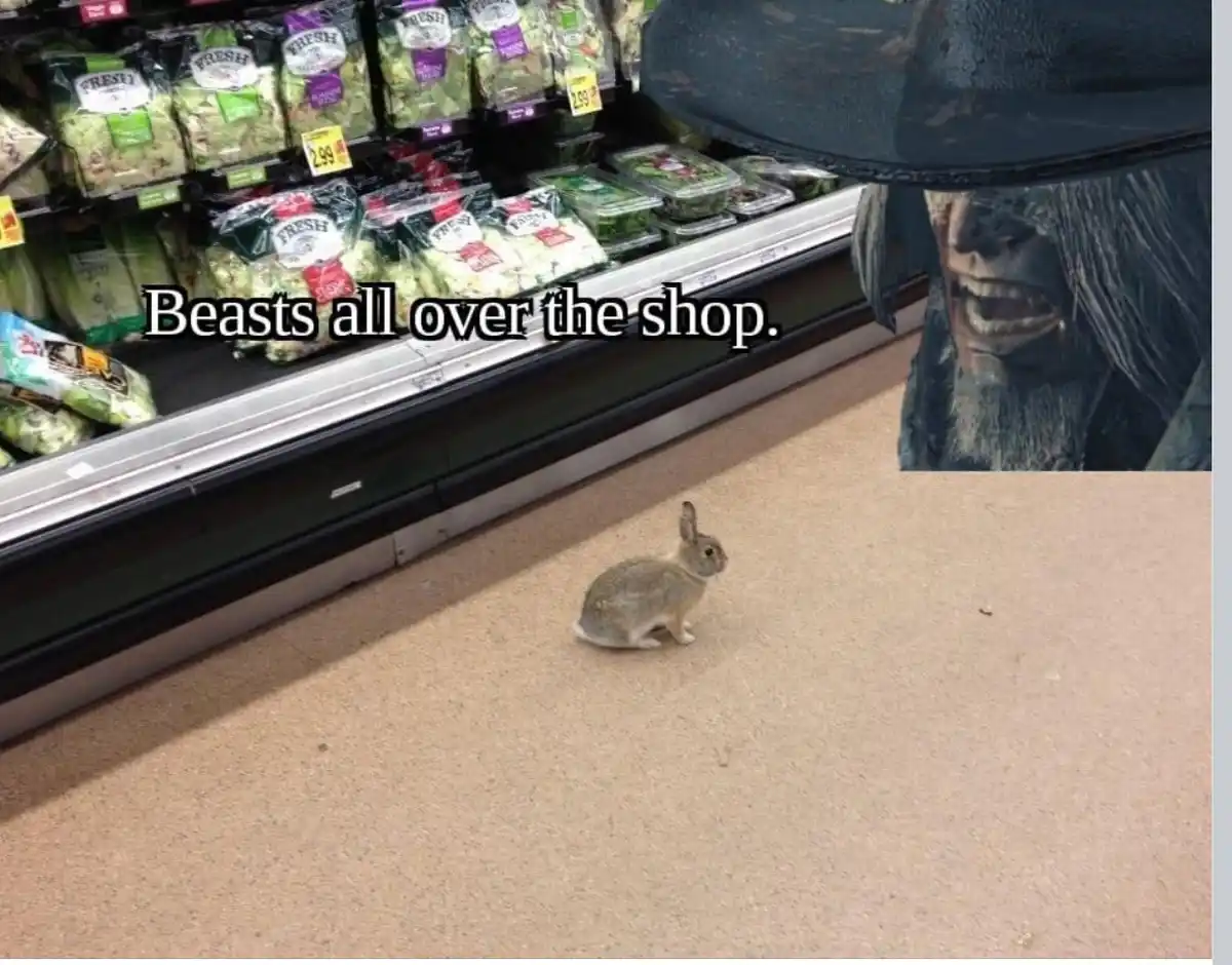 A small, grey rabbit sits on a beige supermarket floor in front of a refrigerated produce aisle stocked with lettuce. In the…