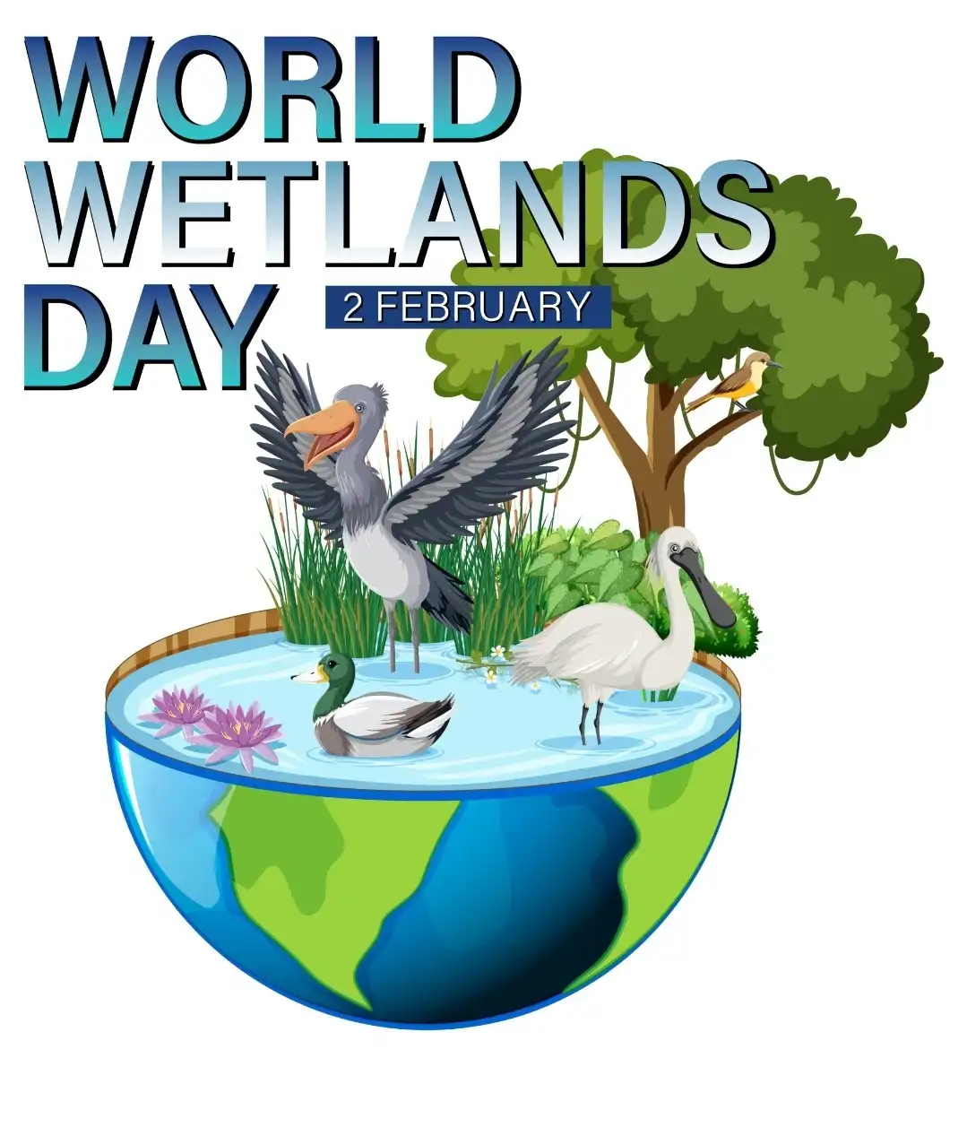 An illustrated graphic shows a half globe with wetlands, featuring birds like a grey heron, a white pelican, a duck, and a…