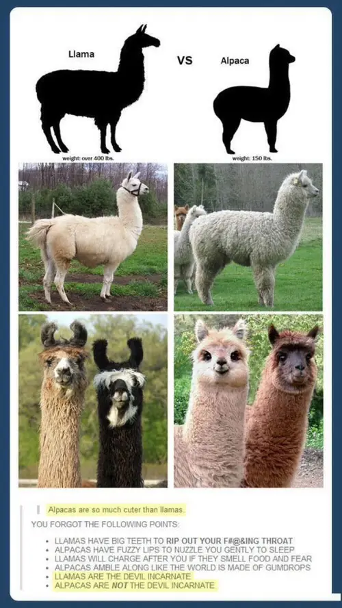 The image displays a side-by-side comparison of llama and alpaca silhouettes with weight labels, followed by photos of each…