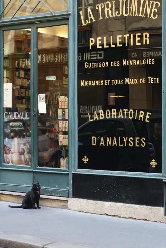 A black cat sits on a sidewalk in front of a French pharmacy with gold lettering on the window reading 'LA TRIJUMINE…
