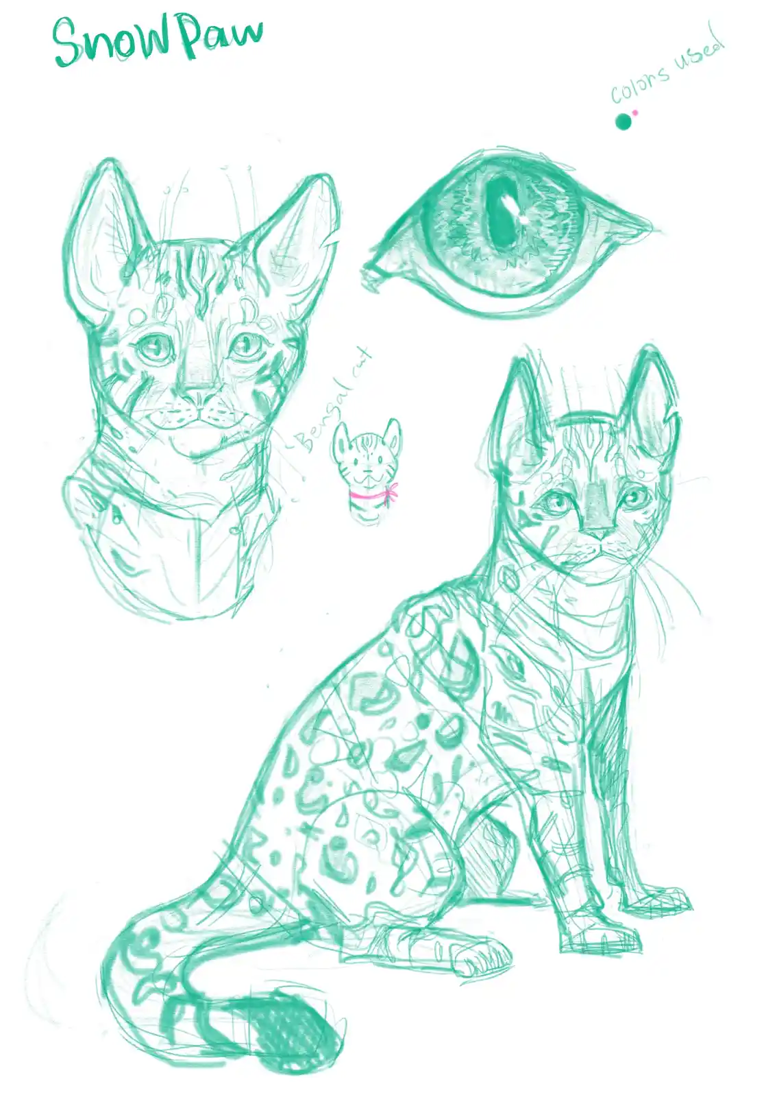A green sketch of a Bengal cat named 'Snow Paw' with multiple views including a full body, head, and a detailed eye…