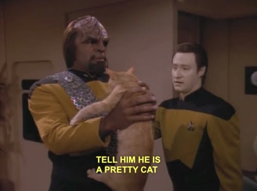A still from Star Trek: The Next Generation shows a Klingon officer holding a cat while a human officer looks on. Yellow…