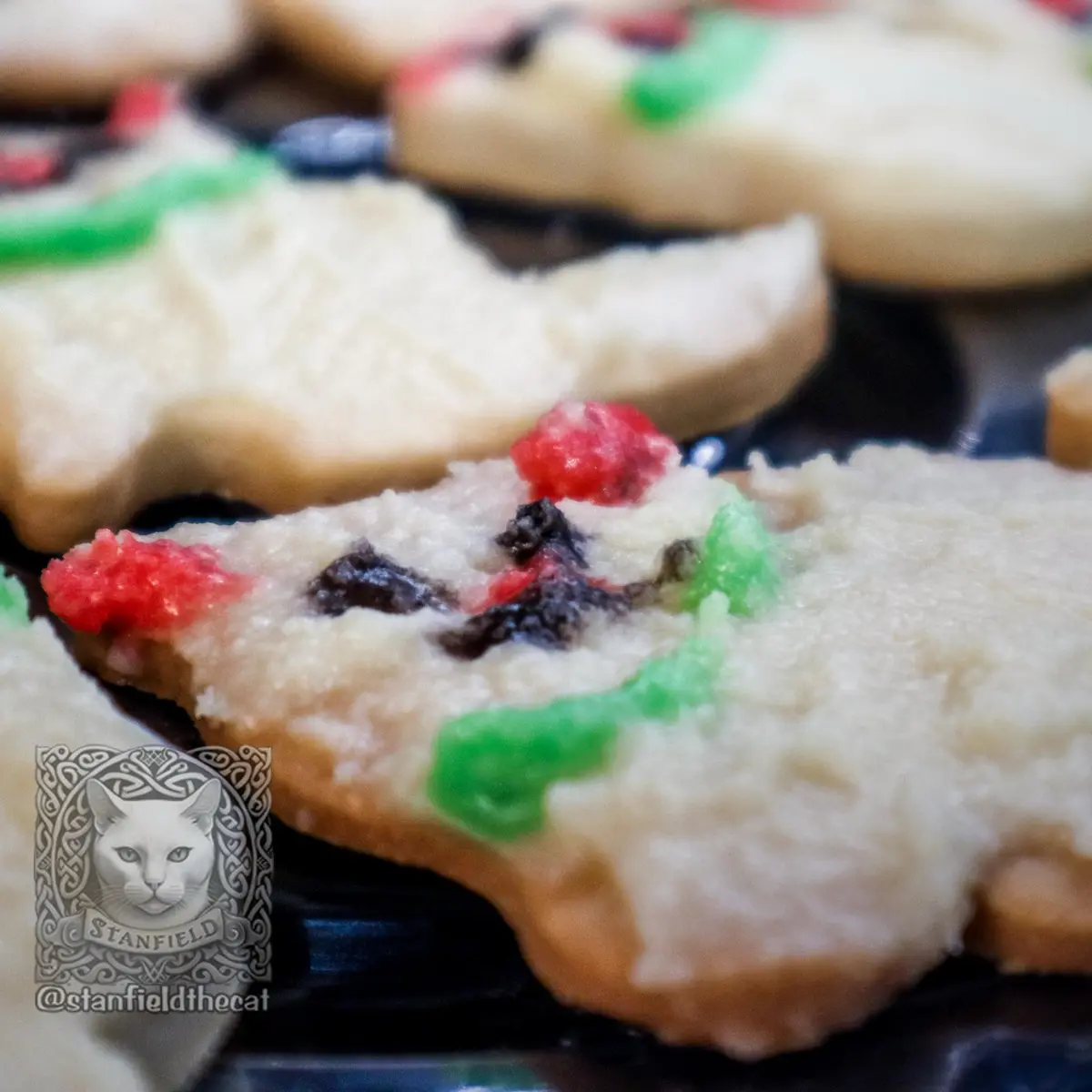 Caturday Cookies: Stanfield the Cat's Baking Attempt