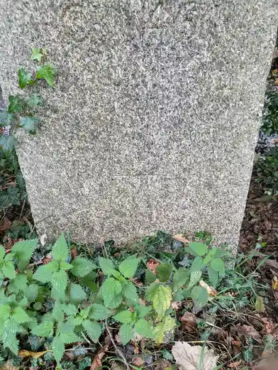 A close-up of a large, weathered granite stone with no visible inscriptions, surrounded by green ivy and nettles. The…