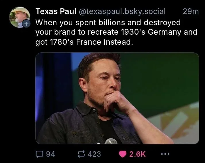 A screenshot of a social media post by 'Texas Paul' showing a photo of Elon Musk looking pensive with his hand on his chin…