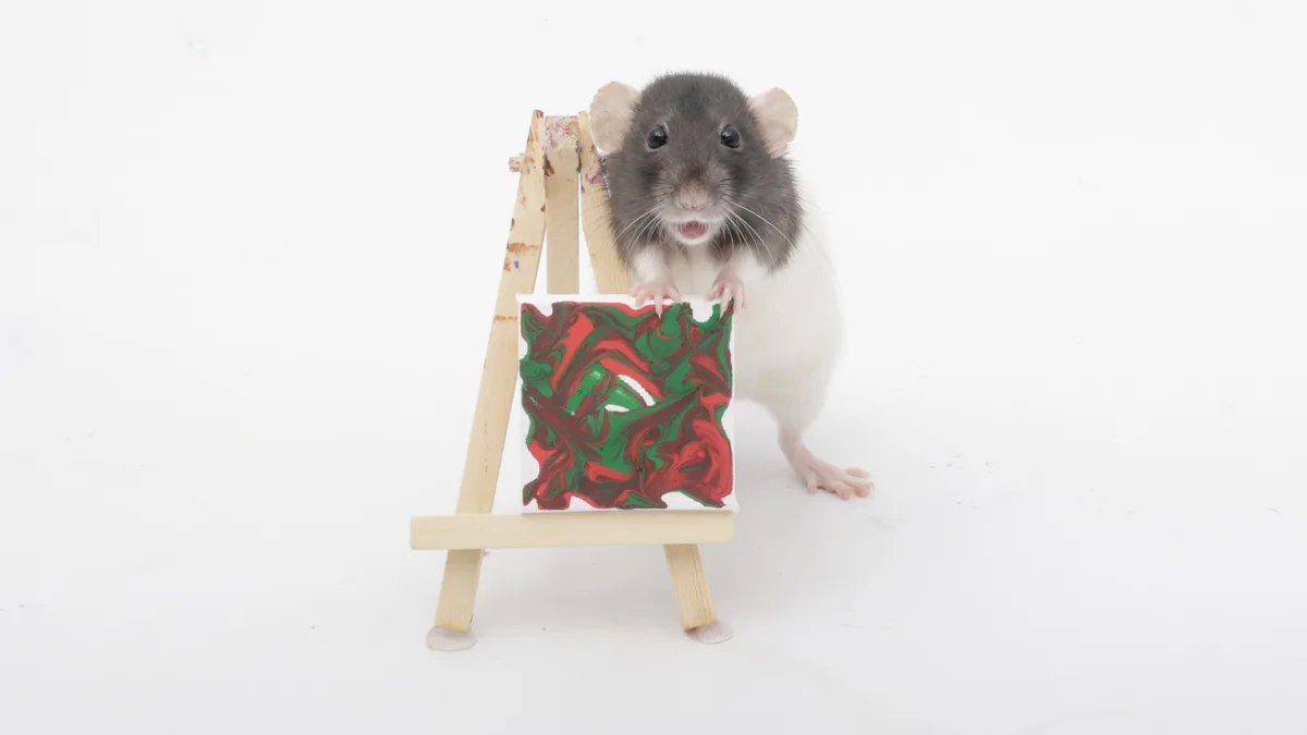 This week's adorable tiny paw paintings by my sweet pet rats!