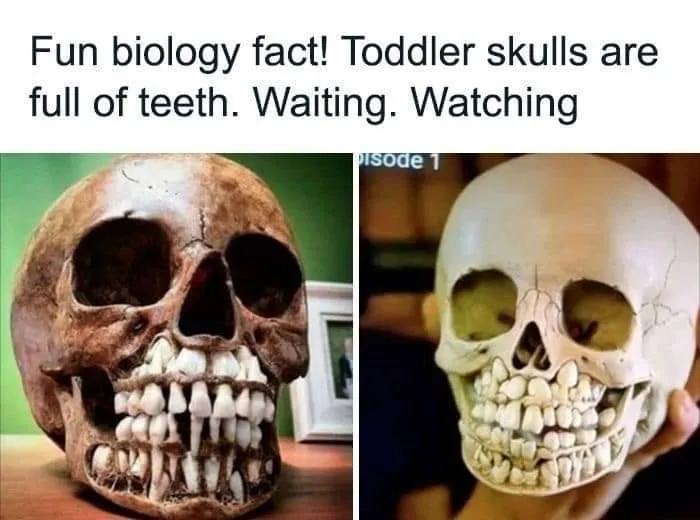 The image displays two side-by-side photos of skulls. The left skull is dark, weathered, and has a full set of teeth…