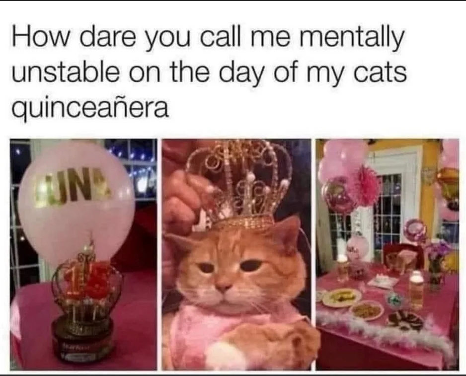 A triptych image shows a pink-themed party for a cat named Luna, featuring a balloon with her name, a cat wearing a tiara…